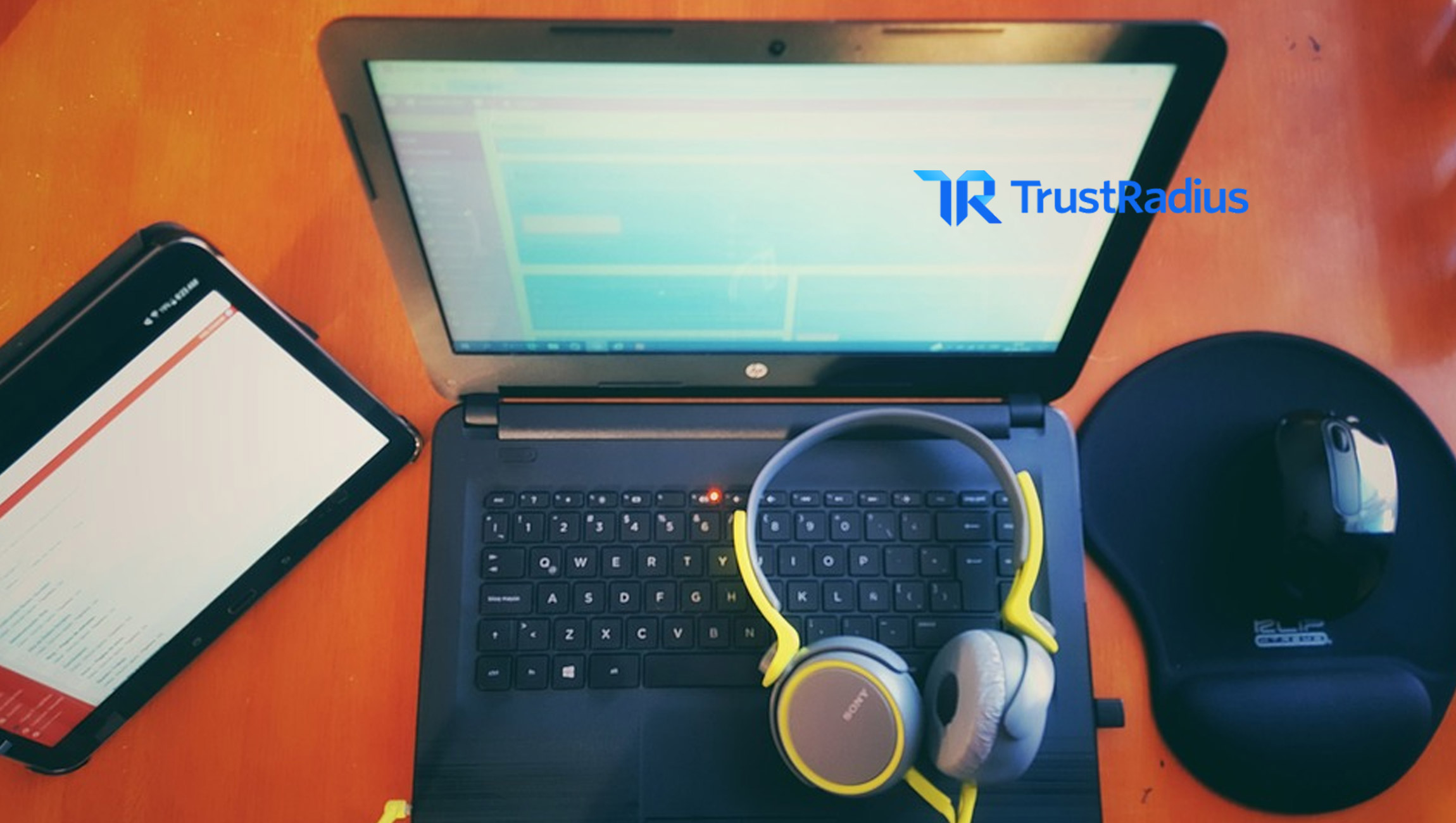 The Role of Peer-Reviews and Influencers in B2B Sales